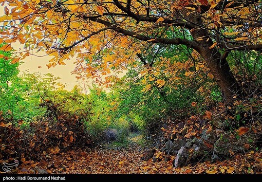 ایران زیباست | پاییز در ارسباران