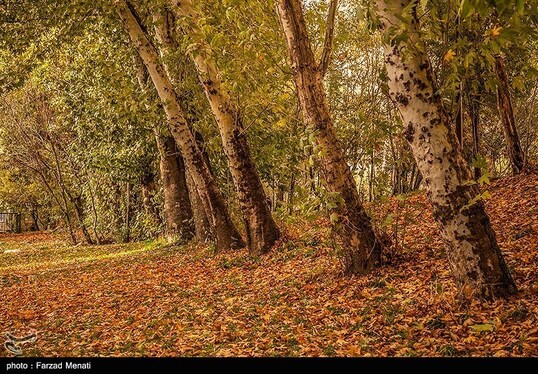 ایران زیباست | طبیعت پاییزی طاق بستان - کرمانشاه