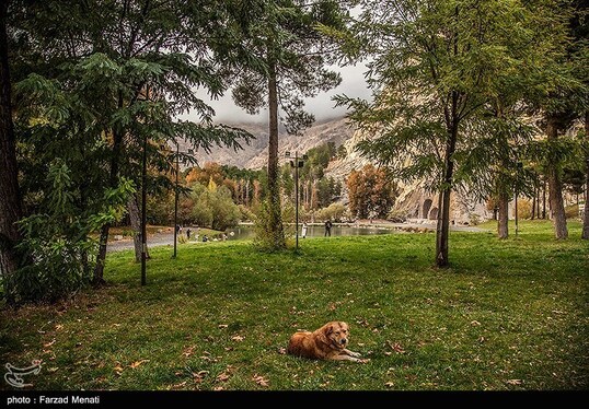 ایران زیباست | طبیعت پاییزی طاق بستان - کرمانشاه