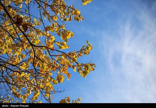 ایران زیباست | پاییز رنگارنگ کردستان