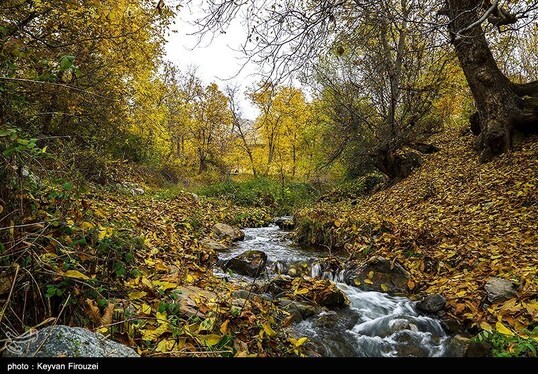 ایران زیباست | پاییز رنگارنگ کردستان