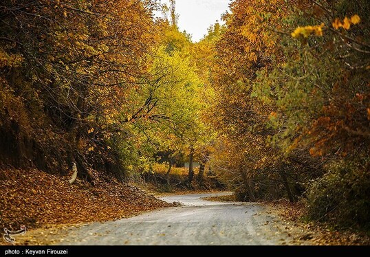ایران زیباست | پاییز رنگارنگ کردستان