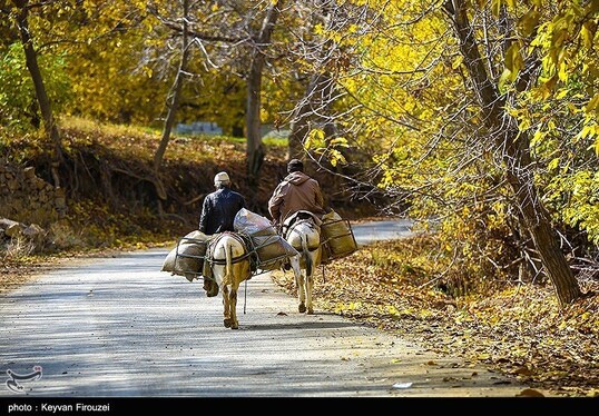 ایران زیباست | پاییز رنگارنگ کردستان