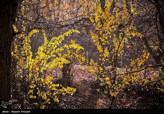 ایران زیباست | پاییز رنگارنگ کردستان