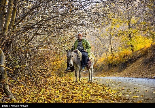 ایران زیباست | پاییز رنگارنگ کردستان