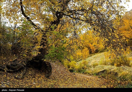 ایران زیباست | پاییز رنگارنگ کردستان