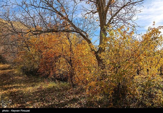 ایران زیباست | پاییز رنگارنگ کردستان