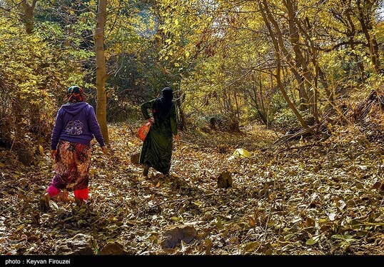 ایران زیباست | پاییز رنگارنگ کردستان