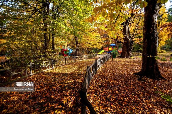 ایران زیباست | پاییز در جنگل‌های هیرکانی