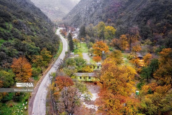 ایران زیباست | پاییز در جنگل‌های هیرکانی