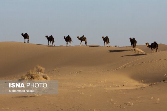 ایران زیباست | «کویر مصر»