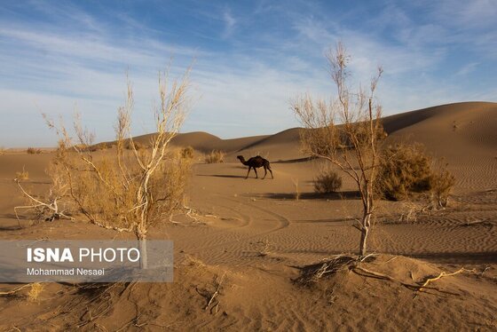 ایران زیباست | «کویر مصر»