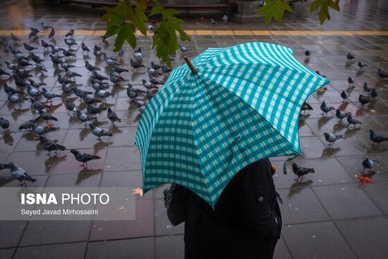 ایران زیباست | رشت، شهر باران‌های نقره‌ای