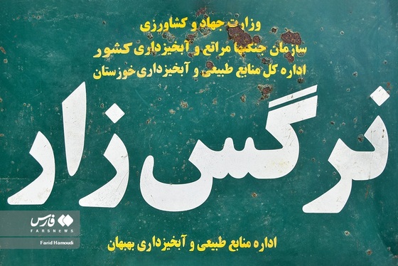 ایران زیباست | نرگسِ «بِهبهان»