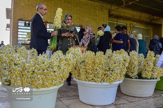 ایران زیباست | نرگسِ «بِهبهان»