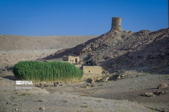 ایران زیباست | پناهگاه حیات وحش نایبندان