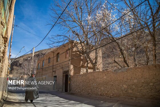 ایران زیباست | بوی بهار در زمستان کویر