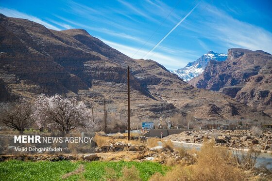 ایران زیباست | بوی بهار در زمستان کویر