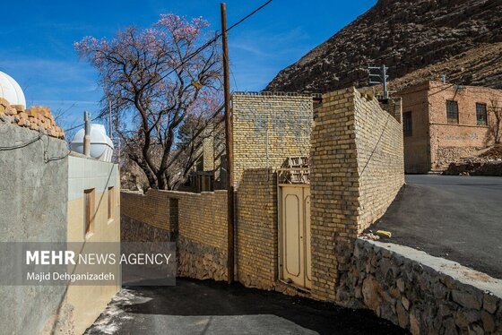 ایران زیباست | بوی بهار در زمستان کویر