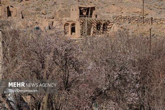 ایران زیباست | بوی بهار در زمستان کویر