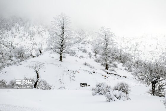 ایران زیباست | گلستان برفی