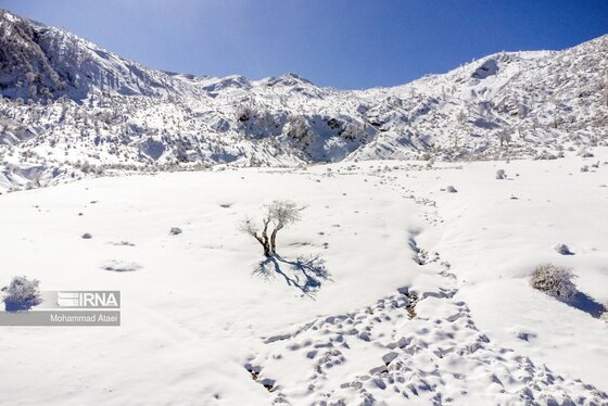ایران زیباست | گلستان برفی