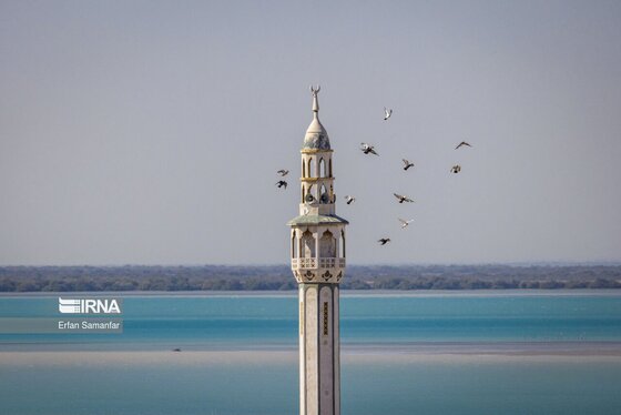 ایران زیباست | سواحل خلیج فارس