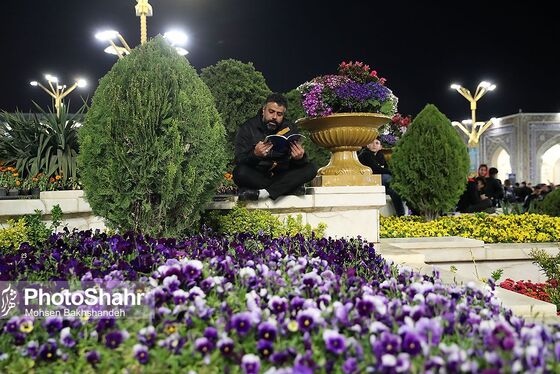 عکس| مراسم احیاء شب نوزدهم ماه رمضان در حرم مطهر رضوی (۱۱ فروردین ۱۴۰۳)