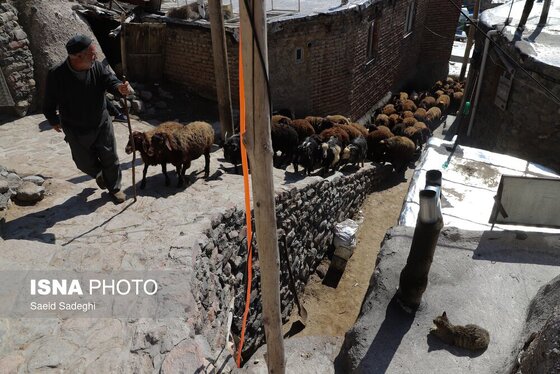 نوروزگردی | روستای تاریخی کندوان