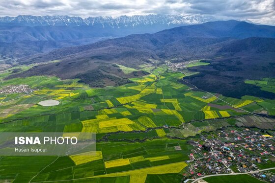 ایران زیباست | کشت کلزا در مناطق کوهستانی دودانگه - مازندران