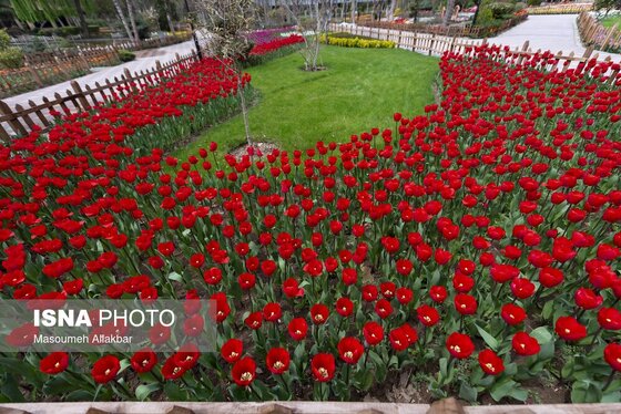 ایران زیباست | دهمین جشنواره لاله‌های کرج