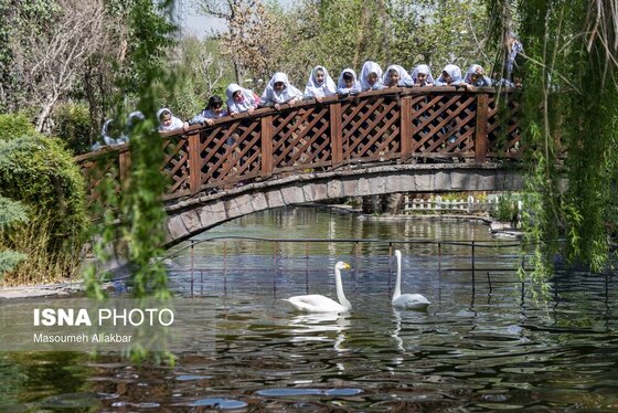 ایران زیباست | دهمین جشنواره لاله‌های کرج