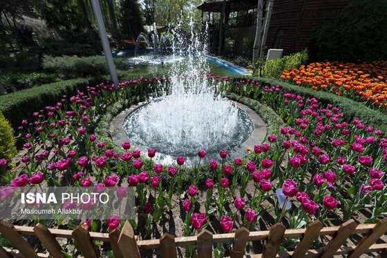 ایران زیباست | دهمین جشنواره لاله‌های کرج