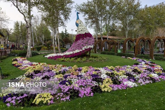 ایران زیباست | دهمین جشنواره لاله‌های کرج