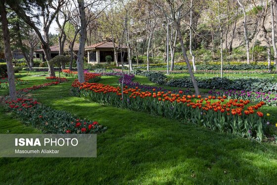 ایران زیباست | دهمین جشنواره لاله‌های کرج