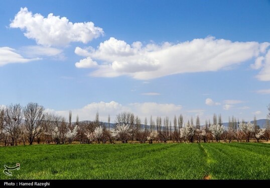 ایران زیباست | طبیعت بهاری ابهر
