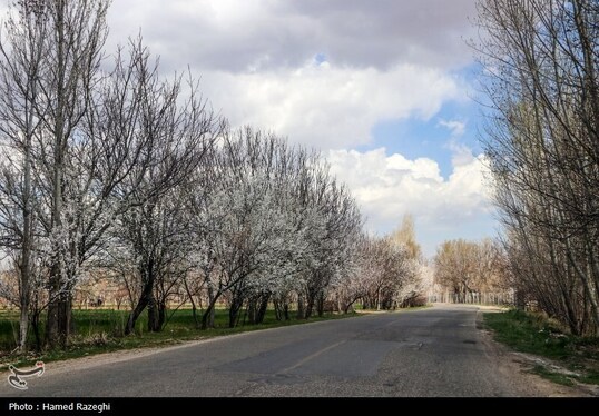 ایران زیباست | طبیعت بهاری ابهر
