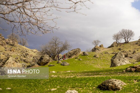 ایران زیباست | مخمل کوه در گستره زاگرس - لرستان