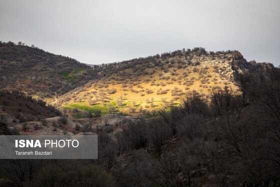 ایران زیباست | مخمل کوه در گستره زاگرس - لرستان