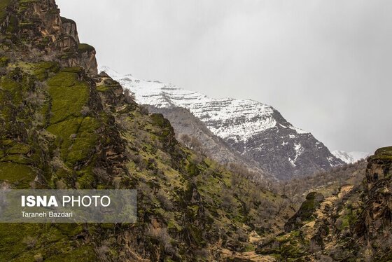 ایران زیباست | مخمل کوه در گستره زاگرس - لرستان