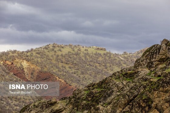 ایران زیباست | مخمل کوه در گستره زاگرس - لرستان