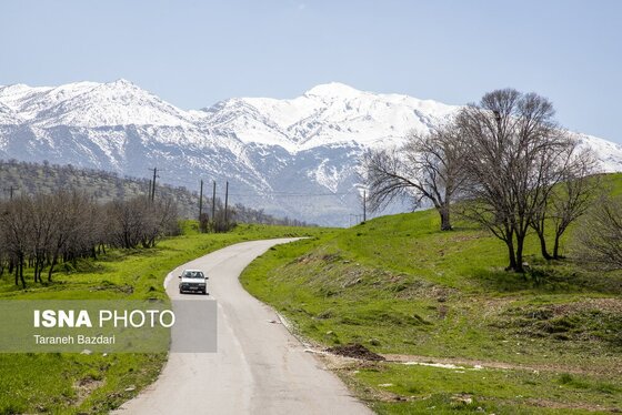ایران زیباست | مخمل کوه در گستره زاگرس - لرستان