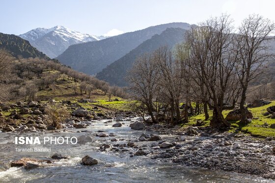 ایران زیباست | مخمل کوه در گستره زاگرس - لرستان