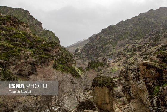 ایران زیباست | مخمل کوه در گستره زاگرس - لرستان