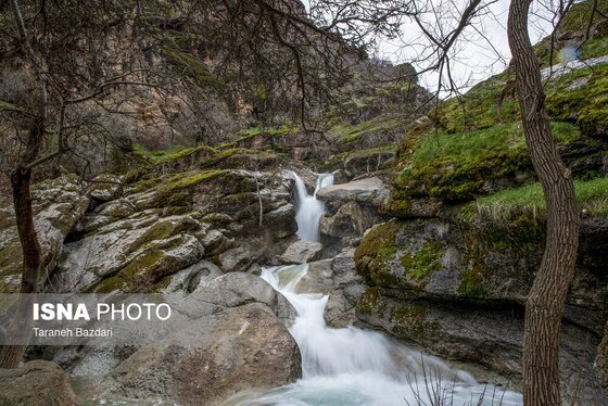 ایران زیباست | مخمل کوه در گستره زاگرس - لرستان
