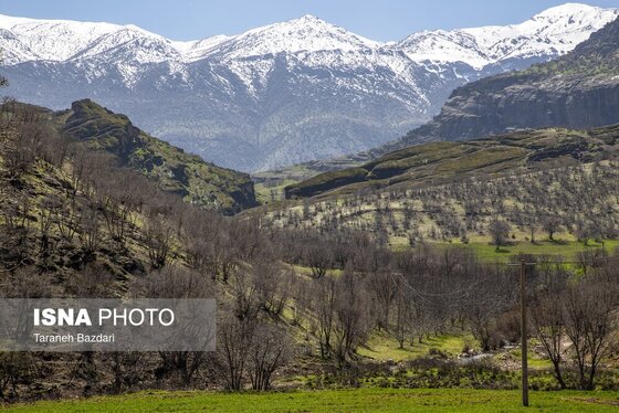 ایران زیباست | مخمل کوه در گستره زاگرس - لرستان