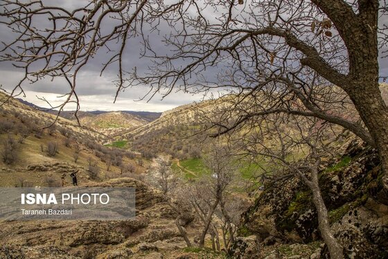 ایران زیباست | مخمل کوه در گستره زاگرس - لرستان