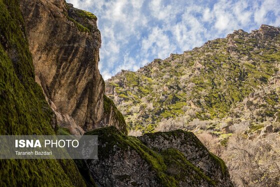 ایران زیباست | مخمل کوه در گستره زاگرس - لرستان