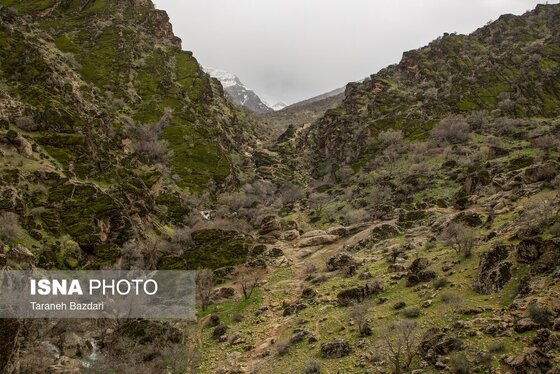 ایران زیباست | مخمل کوه در گستره زاگرس - لرستان