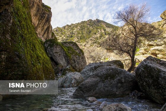 ایران زیباست | مخمل کوه در گستره زاگرس - لرستان